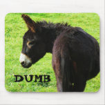 Dumb ASS. Funny Donkey Photo mousepads