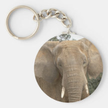 Dumbo Keyring Key Chain