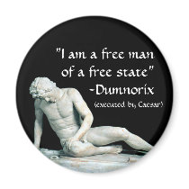 Dumnorix magnets