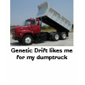 dump truck girl shirt by Genetic_Drift dump truck girl shirt