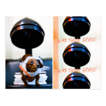 Dumpling At The Salon Post Card