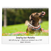 Dumpling does Manhattan calendars