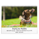 Dumpling does Manhattan Calendars