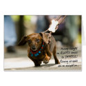 Dumpling Running Errands cards by dumplingsworld Dumpling Running Errands cards