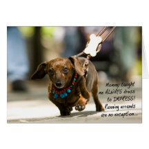 Dumpling Running Errands Greeting Cards