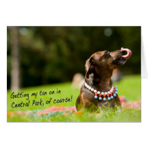 Dumpling Tanning Greeting Cards
