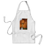 Dun Apron
