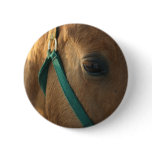 Dun Button