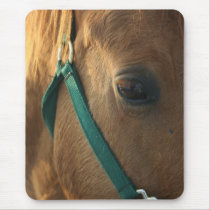 Dun Mousepad