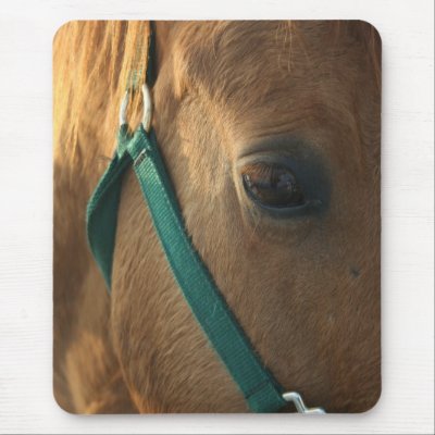 Dun Mousepad by EquineGal