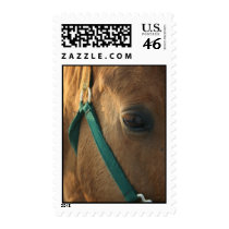 Dun Postage postage