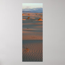 Dunas bajas de la entrada verticales impresiones
