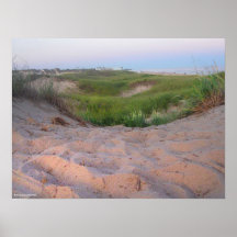 Dunas en Montauk Poster