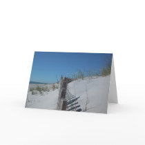 Dune Fence Cards