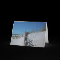 Dune Fence cards