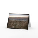 Dune Grass at Sunset cards
