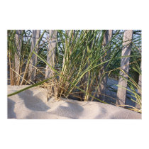 Dune Grass posters