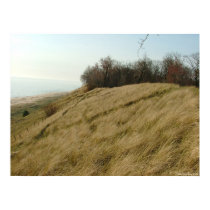 Dune Ridge posters
