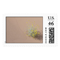 Dune Stamp 3