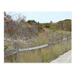Dunes and Fence Island Beach State Park Postcard