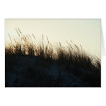 Dunes at Sundown IBSP NJ Coordinating Items Greeting Card