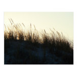 Dunes at Sundown IBSP NJ Coordinating Items Postcard