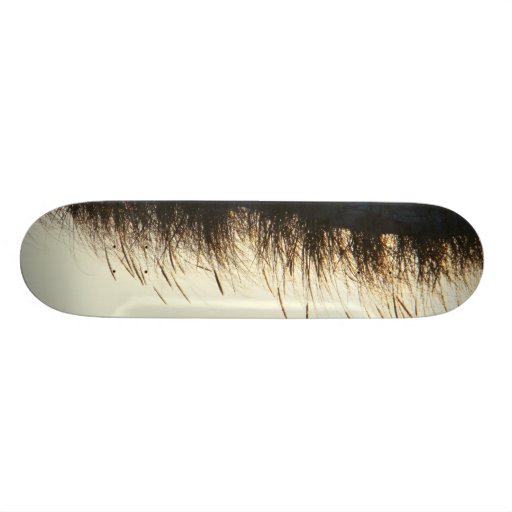 Dunes at Sundown IBSP NJ Skateboard