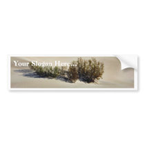 Dunes Desert bumper stickers