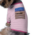 Dunes Desert pet clothing