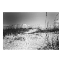 Dunes in Black and White posters