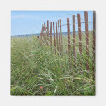 Dunes of Cape Cod Fridge Magnets