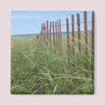 Dunes of Cape Cod magnets