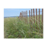 Dunes of Cape Cod Postcard