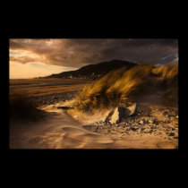 Dunes posters