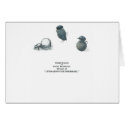 Dung Beetles cards