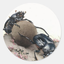 Dung Bettle Round Stickers
