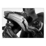 Dungeness Cards