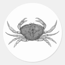 Dungeness Crab Logo (line art) Stickers