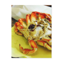 Dungeness Crabs postcards