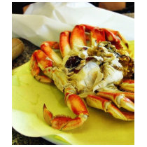 Dungeness Crabs t-shirts by lifesphere Dungeness Crabs t-shirts