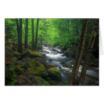 Dunn Falls Ellis River Valley Card