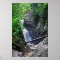 Dunn Falls Gorge Print