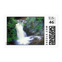Dunn Falls Lip Postage Stamp