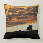 Duo Face Artistic Sunset American MoJo Pillow