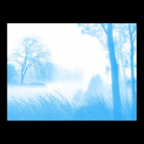 duotone posters
