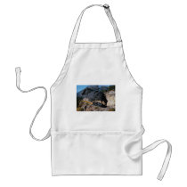 Durango and Silverton Railroad, No. 481, Bear Cree Aprons