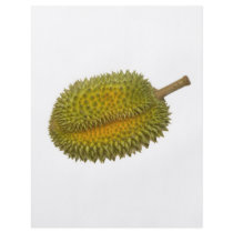 Durian Personalized Flyer