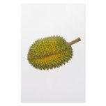 Durian Customized Stationery