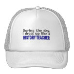 During The Day (History Teacher) Mesh Hats