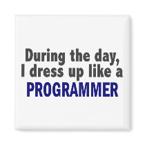 During The Day I Dress Up Like A Programmer magnets